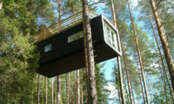 Un albergo sugli alberi: il Tree Hotel di Harads in Svezia e le stanze-nido sugli alberi