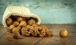 Fenilalanina: perché questa molecola è così importante