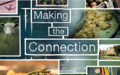 Making the connection, un documentario sulla scelta vegan