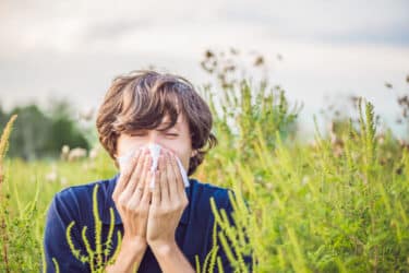 Allergia ai pollini: scoprite i nostri consigli per alleviarla in modo naturale