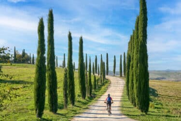 Agriturismo Toscana: ecco le migliori strutture biologiche della regione