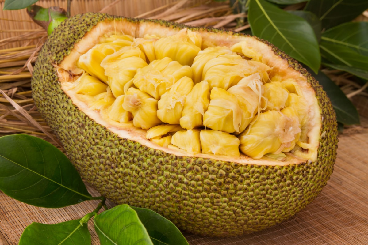 Jackfruit tutto su questo frutto tropicale ricco di vitamine