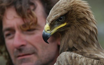 Angelo D’Arrigo, l’uomo che fece volare di nuovo i condor