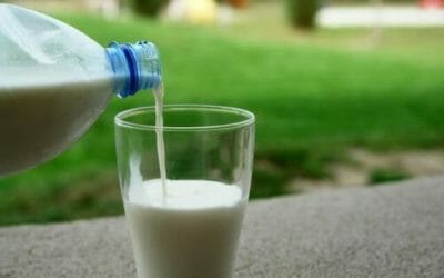 Lattosio e intolleranza: quello che c’è da sapere