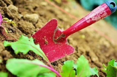 Bonus verde per giardini e terrazzi: tutto quello che c’è da sapere