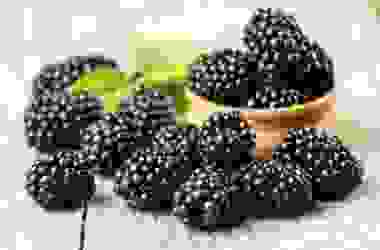 Le more, frutti ricchi di benefici per la nostra salute: utilizzi e ricette