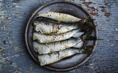 Acidi grassi essenziali: cosa sono e perché sono fondamentali nella dieta