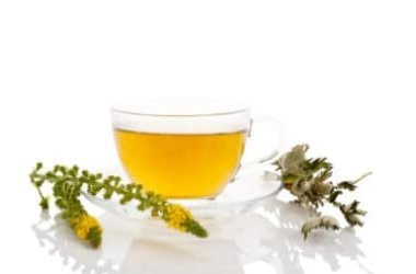 Agrimonia eupatoria, tutte le proprietà curative