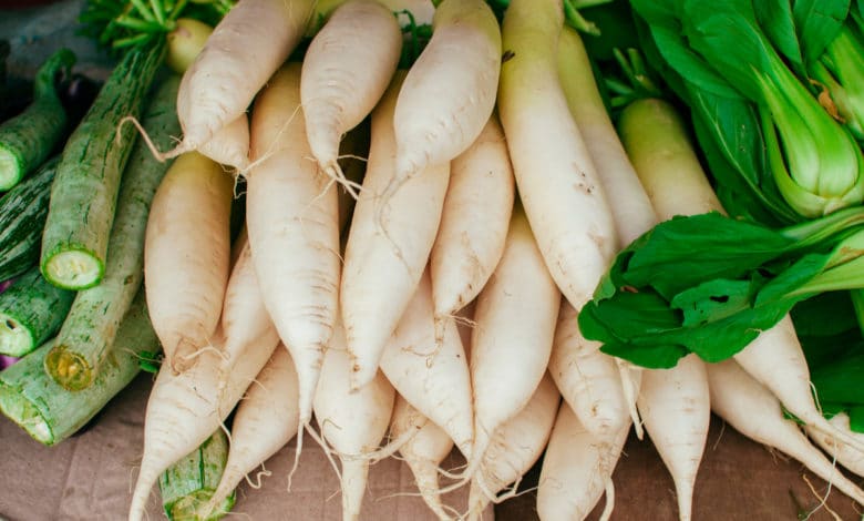 daikon o ravanello giapponese