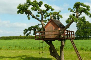 Casa sull’albero: materiali, consigli pratici e come costruirla