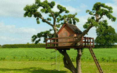 Casa sull’albero: materiali, consigli pratici e come costruirla