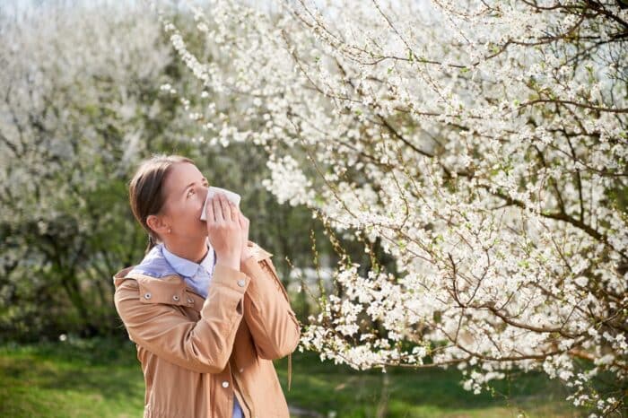 allergies aux pollens