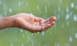 Riciclare l’acqua piovana: idee e soluzioni