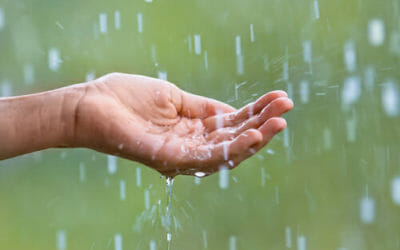 Riciclare l’acqua piovana: idee e soluzioni