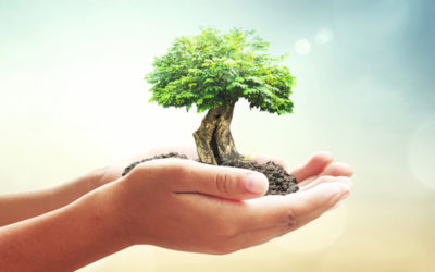 Earth Overshoot Day: ovvero il giorno in cui si è sorpassato il limite