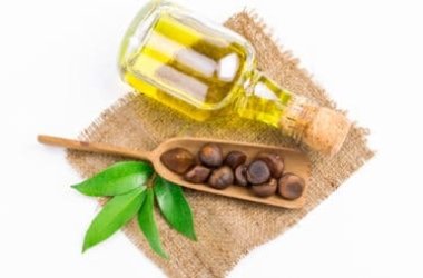 L’olio di camelia, un alleato naturale per la bellezza di pelle e capelli