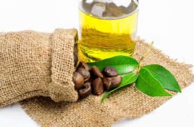 Olio di camelia: proprietà e benefici