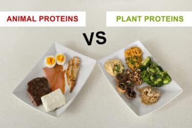 Guida alle proteine animali e vegetali, differenze e potere nutritivo