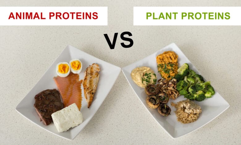 differenze tra proteine vegetali e animali