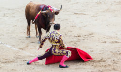 Stop alla corrida anche in Messico?