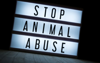 Lush contro le sperimentazioni animali con performance-shock nelle vie di Londra