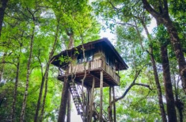 Casa sull’albero: materiali, consigli pratici e come costruirla