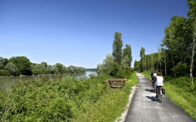 VenTo Bici Tour: 15 tappe su due ruote per presentare il progetto della ciclabile lungo il Po
