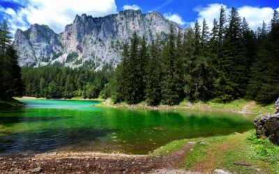 Il Lago Verde: un parco sommerso dall’acqua in Austria