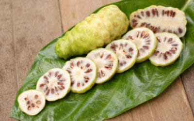 Noni, la pianta tahitiana magica per la pelle e antiossidante