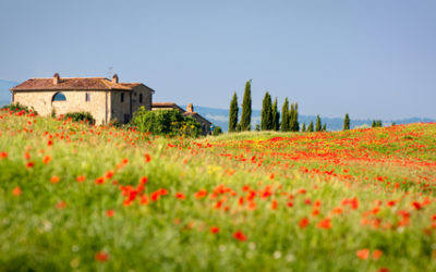 Agriturismo Toscana: ecco le migliori strutture biologiche della regione