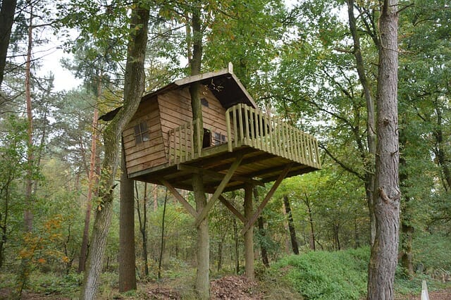 Casa sull 39 albero materiali consigli pratici e come for Kit per costruire casa sull albero