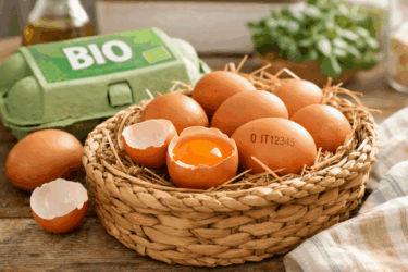 Come riconoscere le uova biologiche: guida pratica al codice, alle proprietà e alle differenze