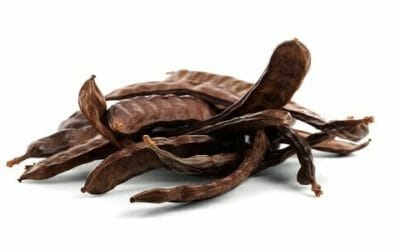 Carrubo: proprietà, ricette e controindicazioni