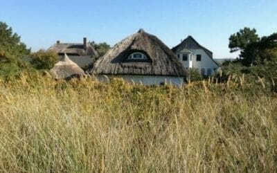 Case di paglia: pro e contro di queste abitazioni fai-da-te