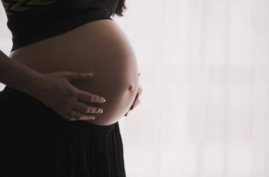 Enula campana: proprietà e utilizzi