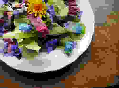 Fiori che si possono mangiare