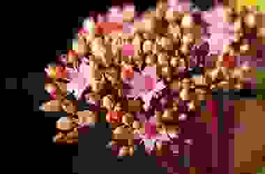 Sedum Telephium o Borracina Maggiore: proprietà e utilizzi