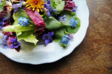 Fiori che si possono mangiare: quali sono i fiori commestibili