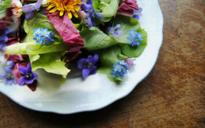 Ricette con i fiori: le migliori da provare
