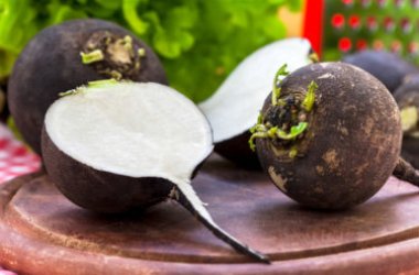 Ramolaccio nero: proprietà e utilizzi