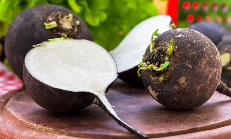 ravanello ramolaccio nero