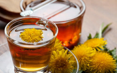 Come preparare una tisana perfetta