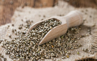 Semi di canapa proprietà e utilizzi in cucina