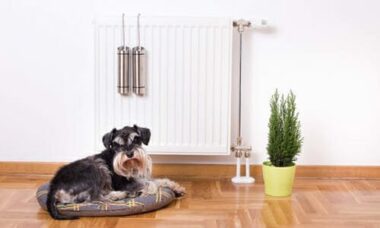 Come umidificare la casa con metodi naturali