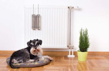 Come umidificare la casa con metodi naturali