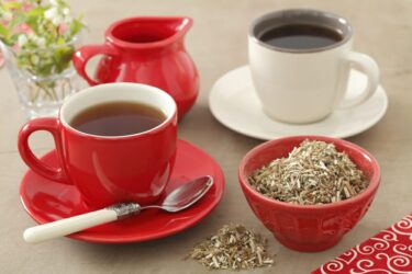 Marrubio: proprietà e modalità d’uso di questa pianta officinale