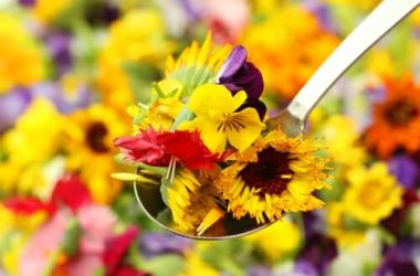 Fiori che si possono mangiare: quali sono i fiori commestibili