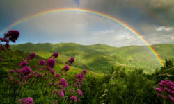 Colori arcobaleno: quali sono e loro significato