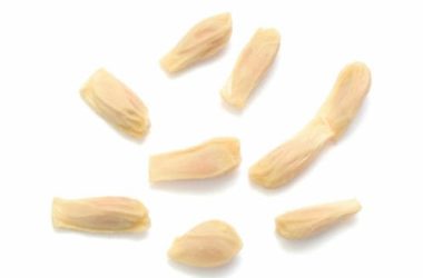 Semi di pompelmo ed estratto di semi di pompelmo: a cosa servono e come utilizzarli