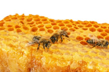 Guida alle proprietà ed ai benefici per la salute della cera d’api